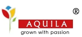 Aquila - SKL packaging client