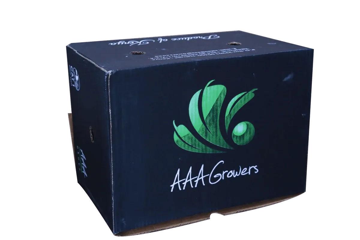 SKL Group Mission - Packaging Excellence