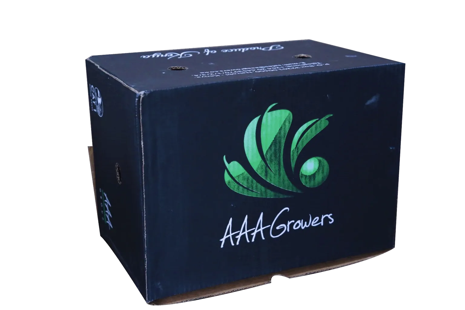 Sustainable eco-friendly packaging materials Kenya