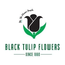 Black Tulip
